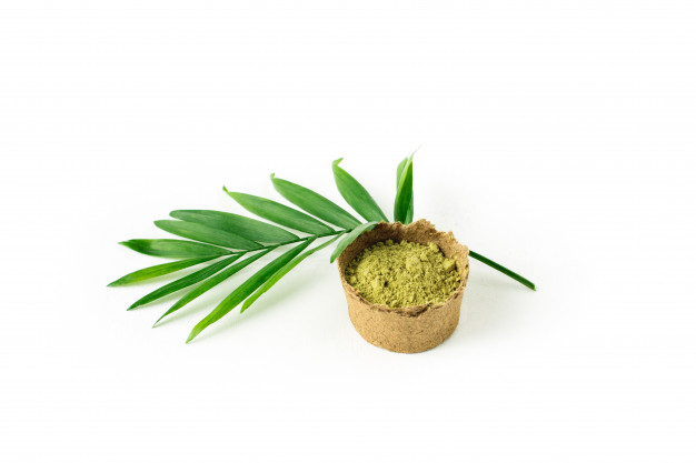 henna powder hair eyebrows with green palm leaf 95685 542